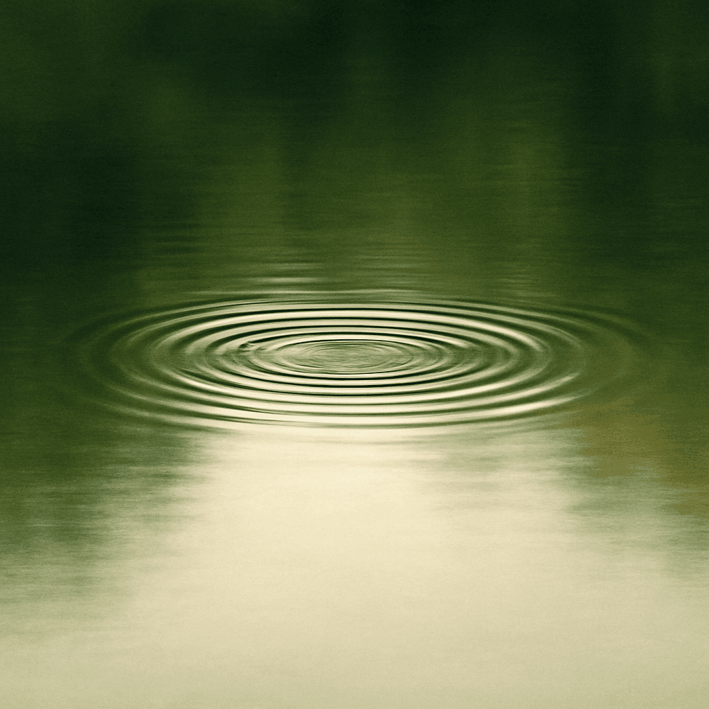 Soft concentric ripples on dark calm water at dawn